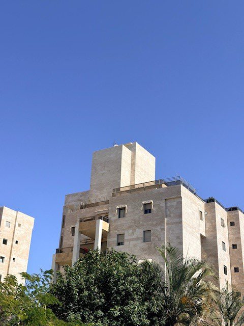 דוד שמעוני -18