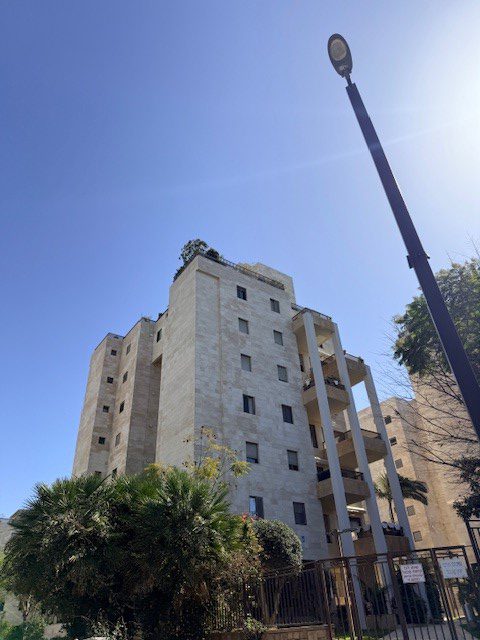 דוד שמעוני -22