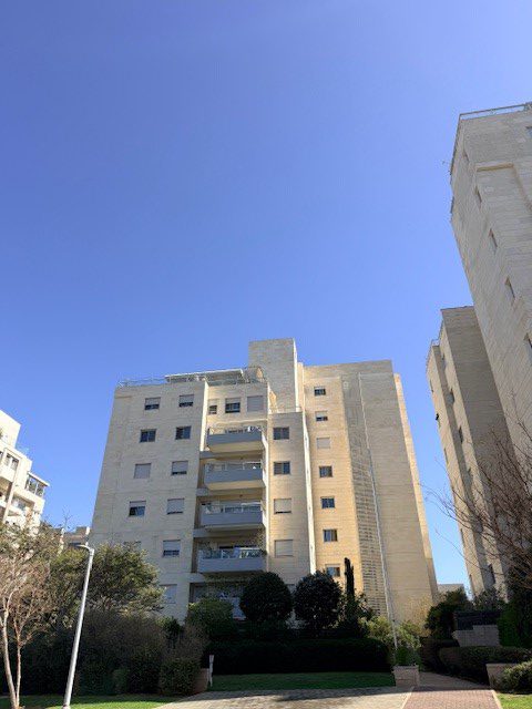 דוד שמעוני 26