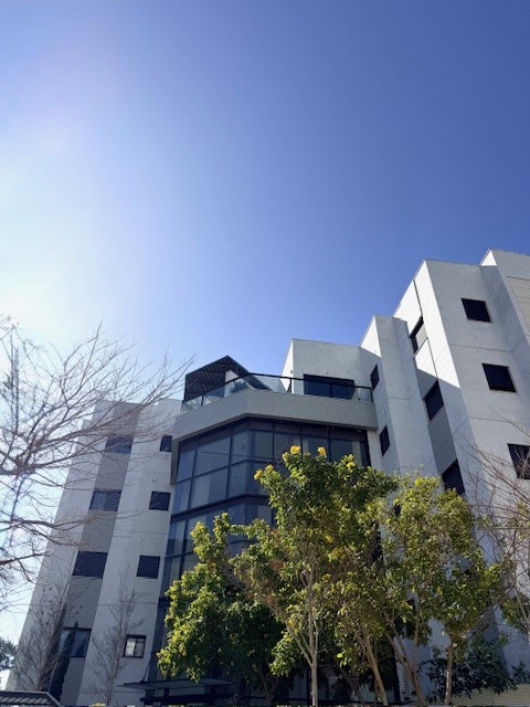דורי -6
