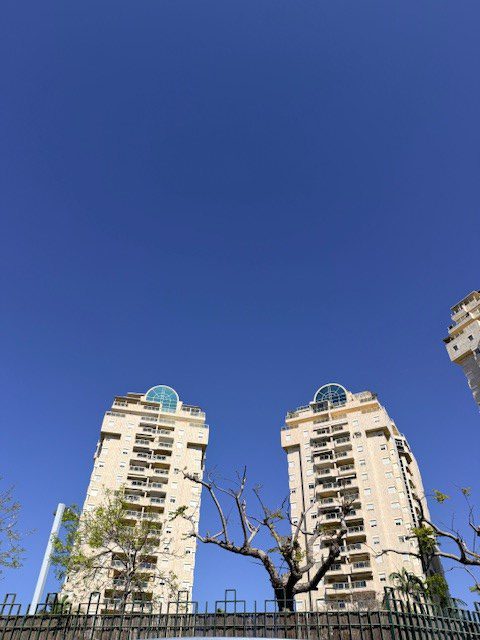צמרות 6-8